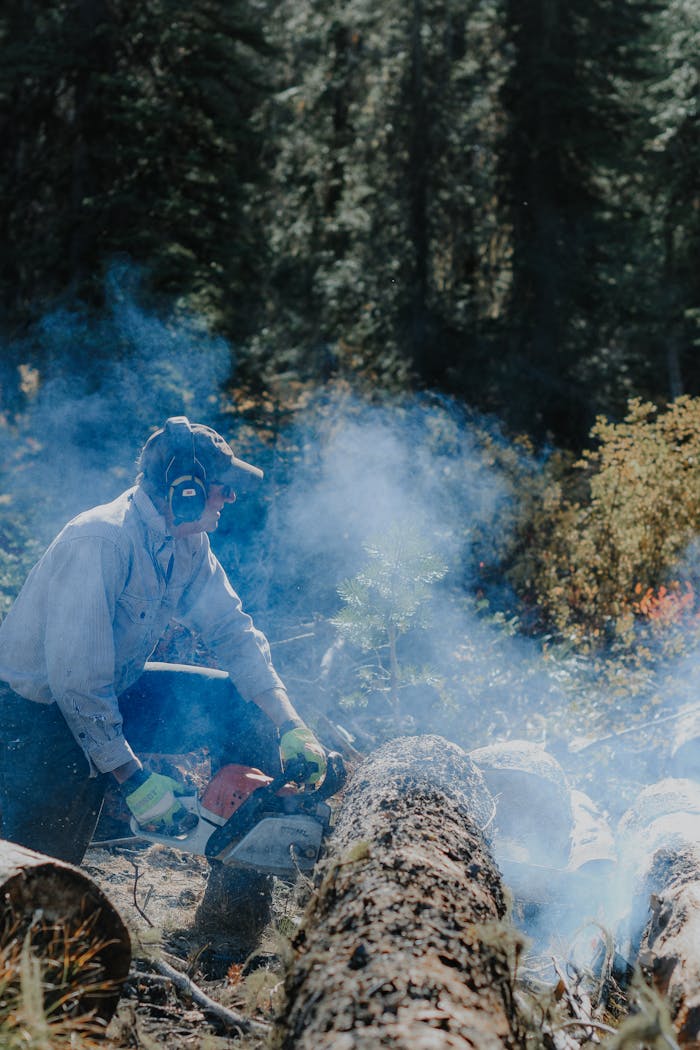 Lumberjack using chainsaw to cut logs amidst forest smoke, a dynamic scene of outdoor labor.